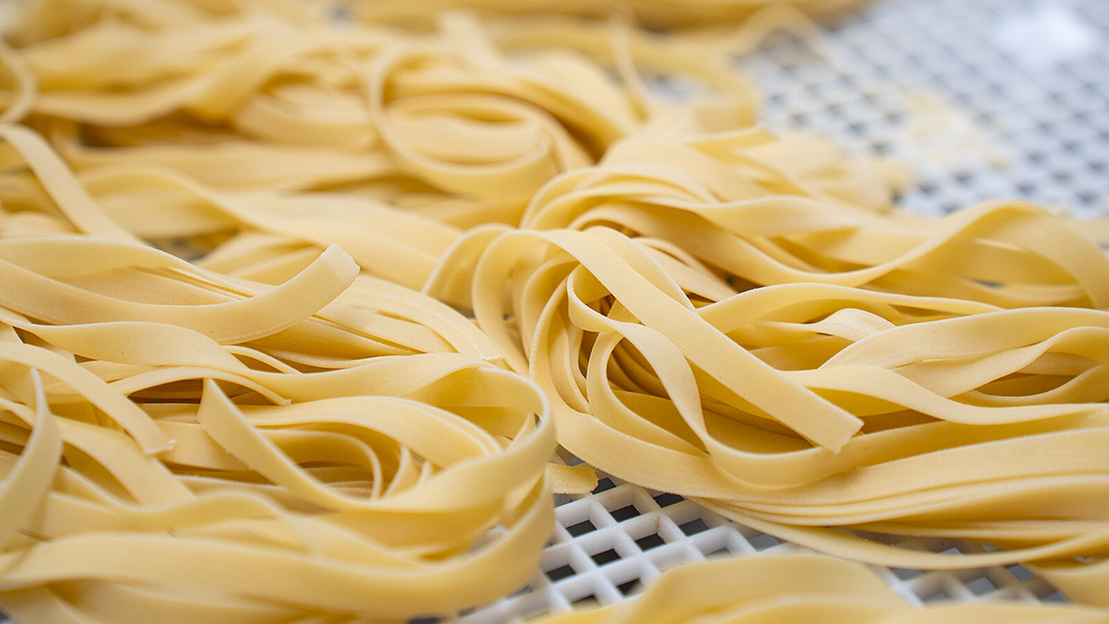 <span>HANDMADE</span>
<span>FRESH</span>
<span>PASTA</span>